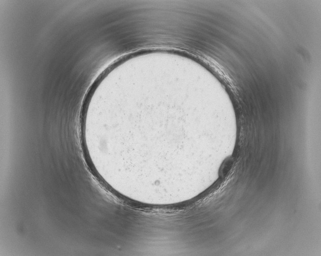 X0000114490942200911301103