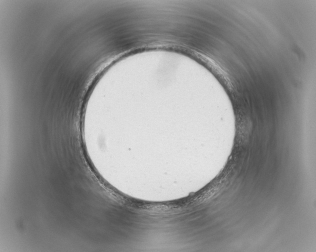 X0000114490943200911301103