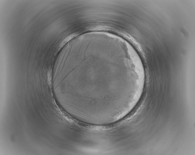 X0000114490945200911301103