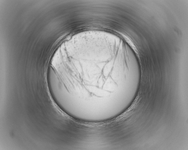 X0000114490946200911301103