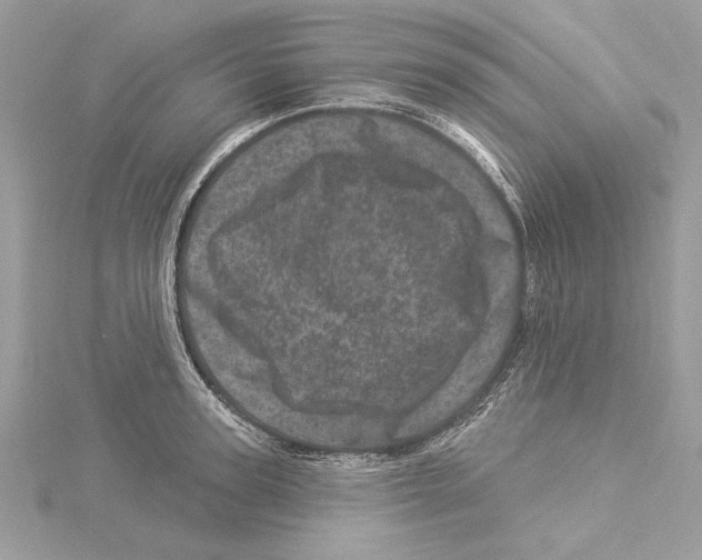 X0000114490947200911301103