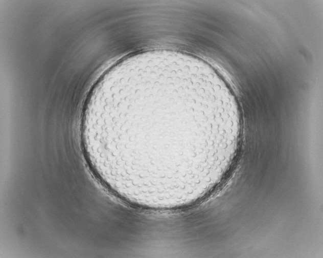 X0000114490949200911301103