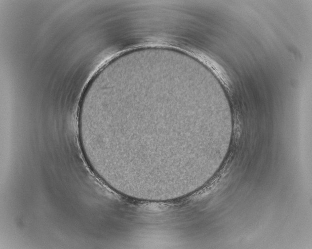 X0000114490950200911301103