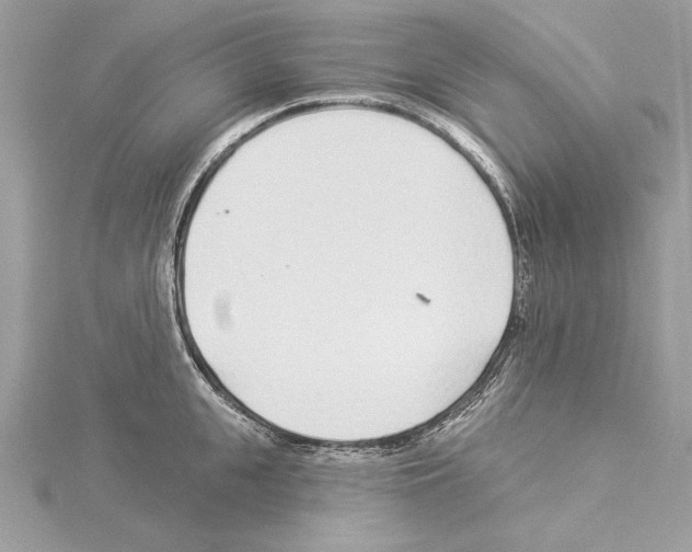 X0000114490951200911301103