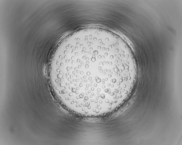 X0000114490953200911301103