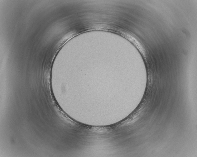 X0000114490954200911301103