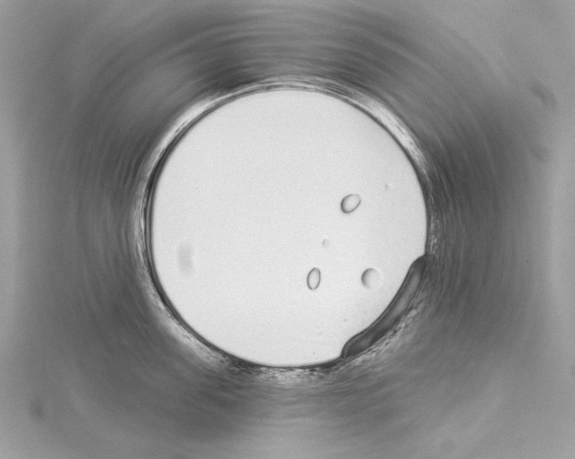 X0000114490955200911301103