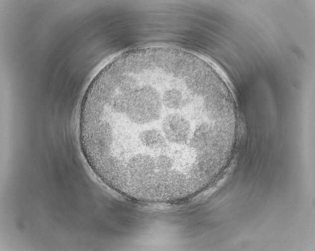 X0000114490957200911301103