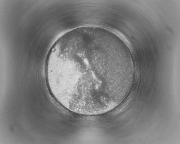 X0000114490958200911301103