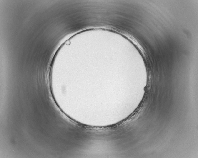 X0000114490959200911301103