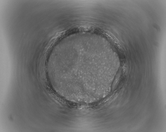 X0000114490961200911301102