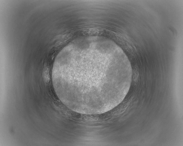 X0000114490962200911301102