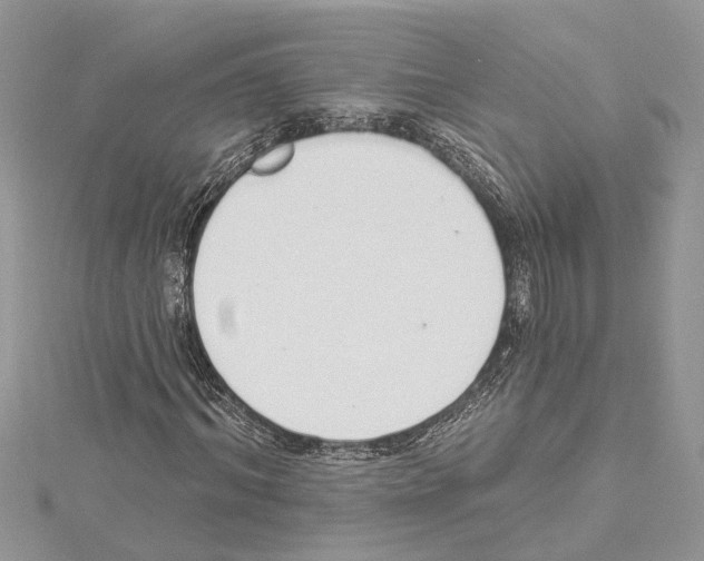 X0000114490964200911301102