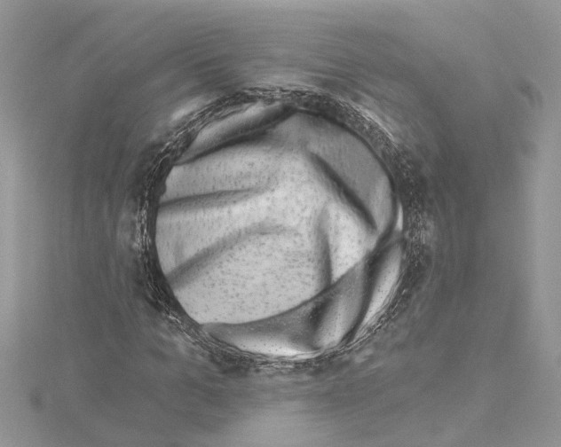 X0000114490965200911301102