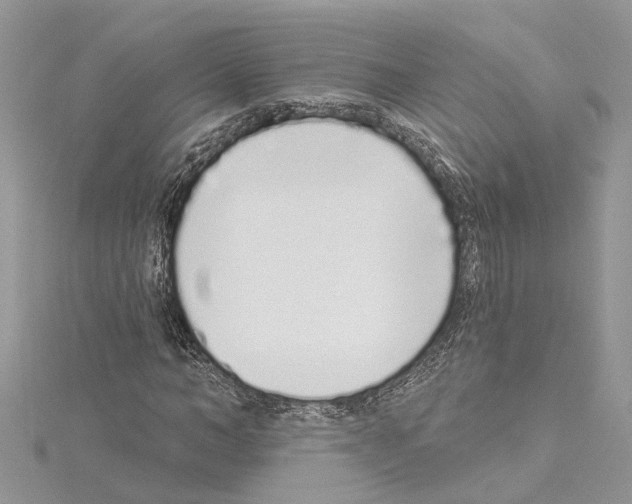 X0000114490966200911301102