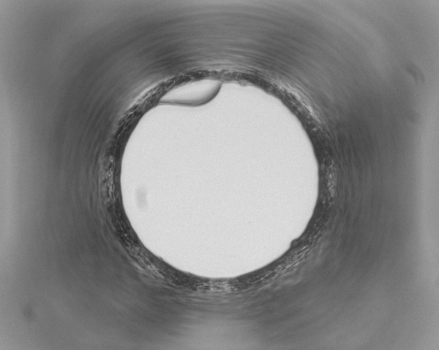 X0000114490968200911301102