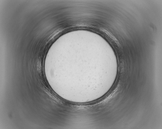 X0000114490969200911301102