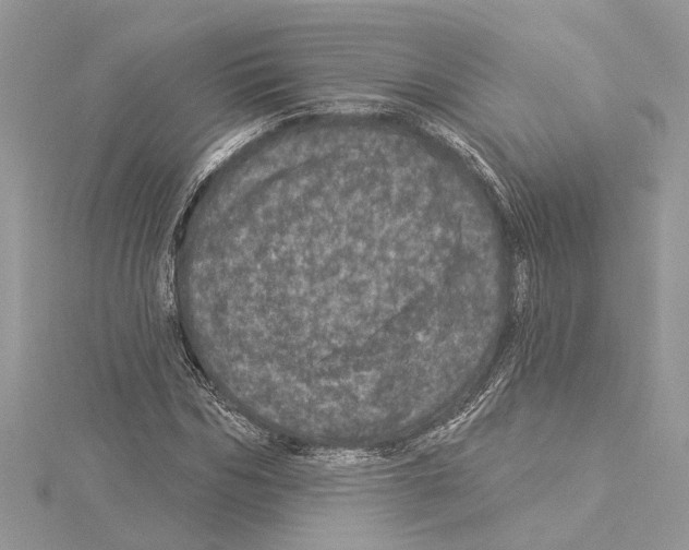 X0000114490970200911301102