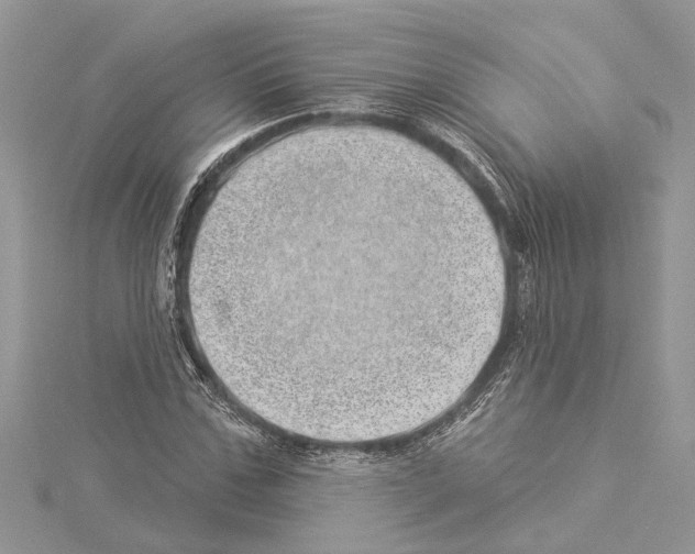 X0000114490971200911301102