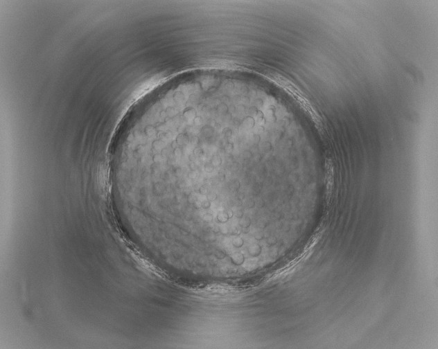 X0000114490974200911301102