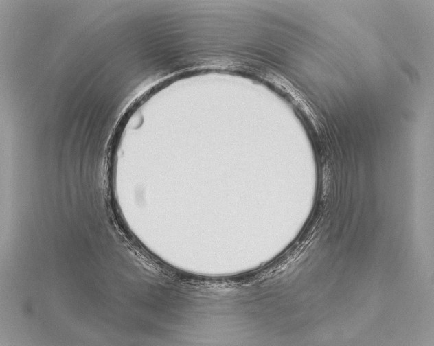 X0000114490975200911301102