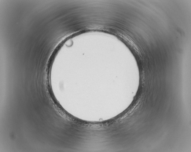 X0000114490976200911301102