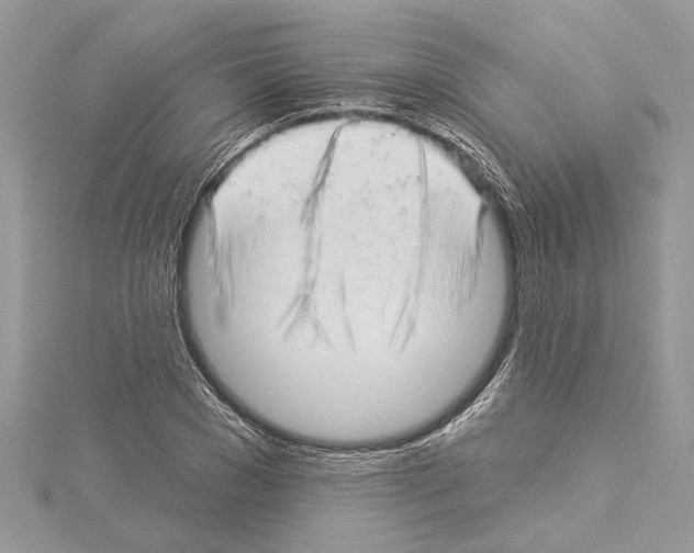 X0000114490977200911301102