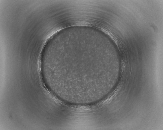 X0000114490979200911301102