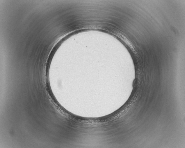 X0000114490980200911301102