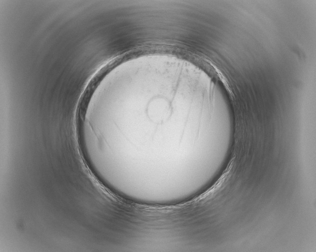 X0000114490981200911301102