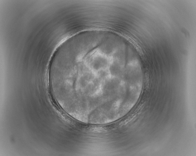 X0000114490982200911301102