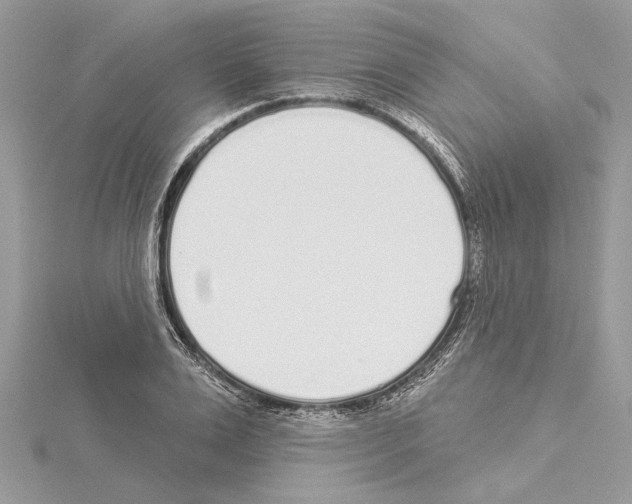 X0000114490983200911301102