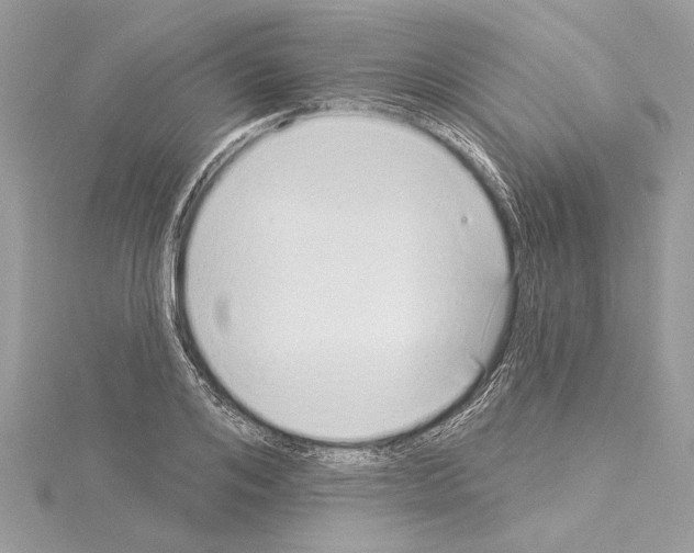 X0000114490984200911301102