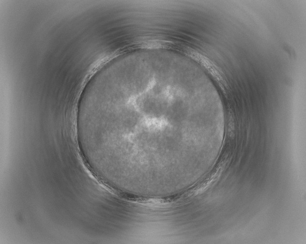 X0000114490986200911301102