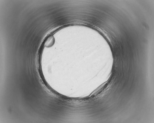 X0000114490987200911301102