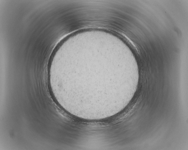 X0000114490988200911301102