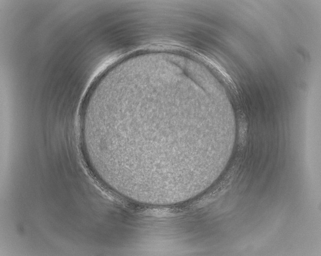 X0000114490990200911301102