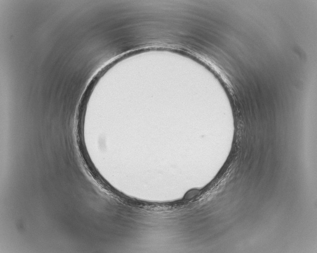 X0000114490991200911301102