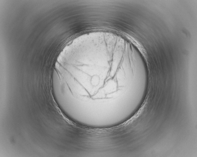 X0000114490993200911301102