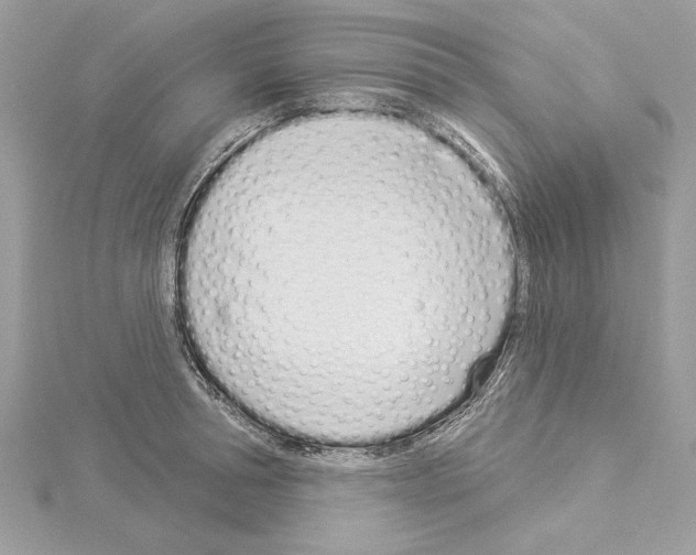 X0000114490994200911301102