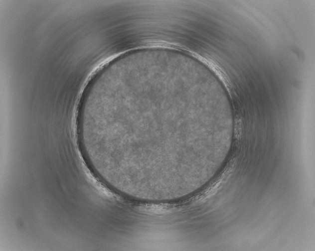 X0000114490995200911301102