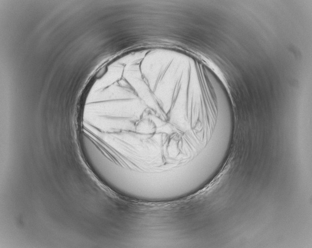 X0000114490997200911301102