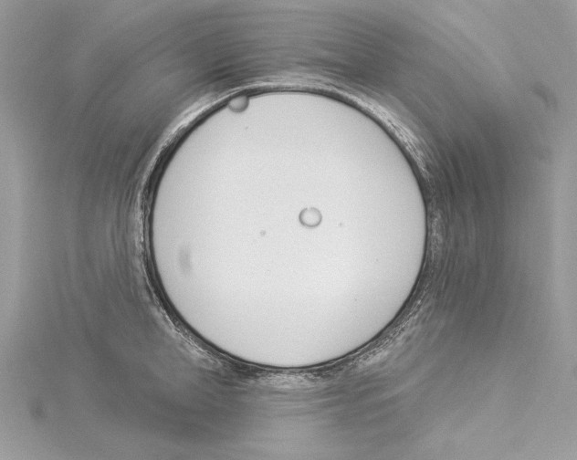 X0000114490998200911301102