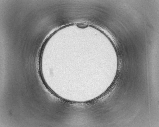 X0000114490999200911301102