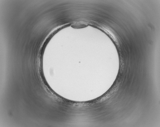 X0000114491000200911301102