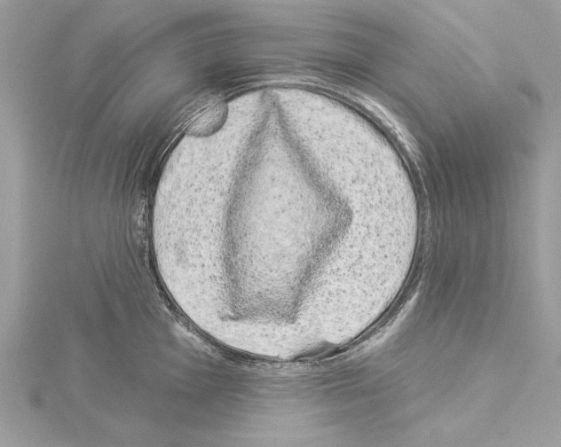 X0000114491001200911301102