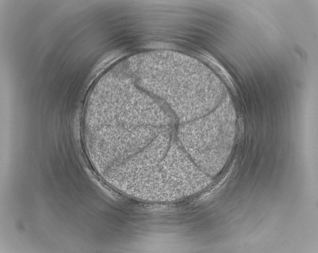 X0000114491002200911301102