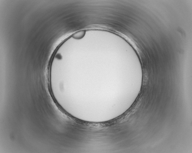 X0000114491003200911301102