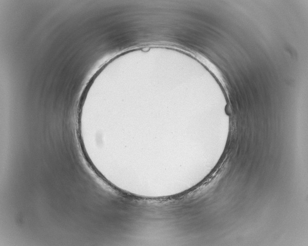 X0000114491005200911301102