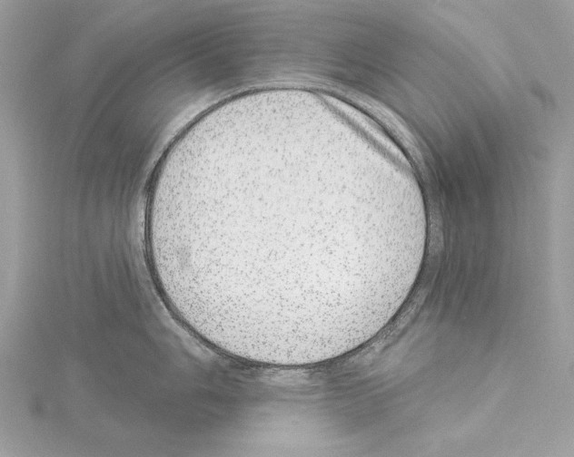 X0000114491006200911301102